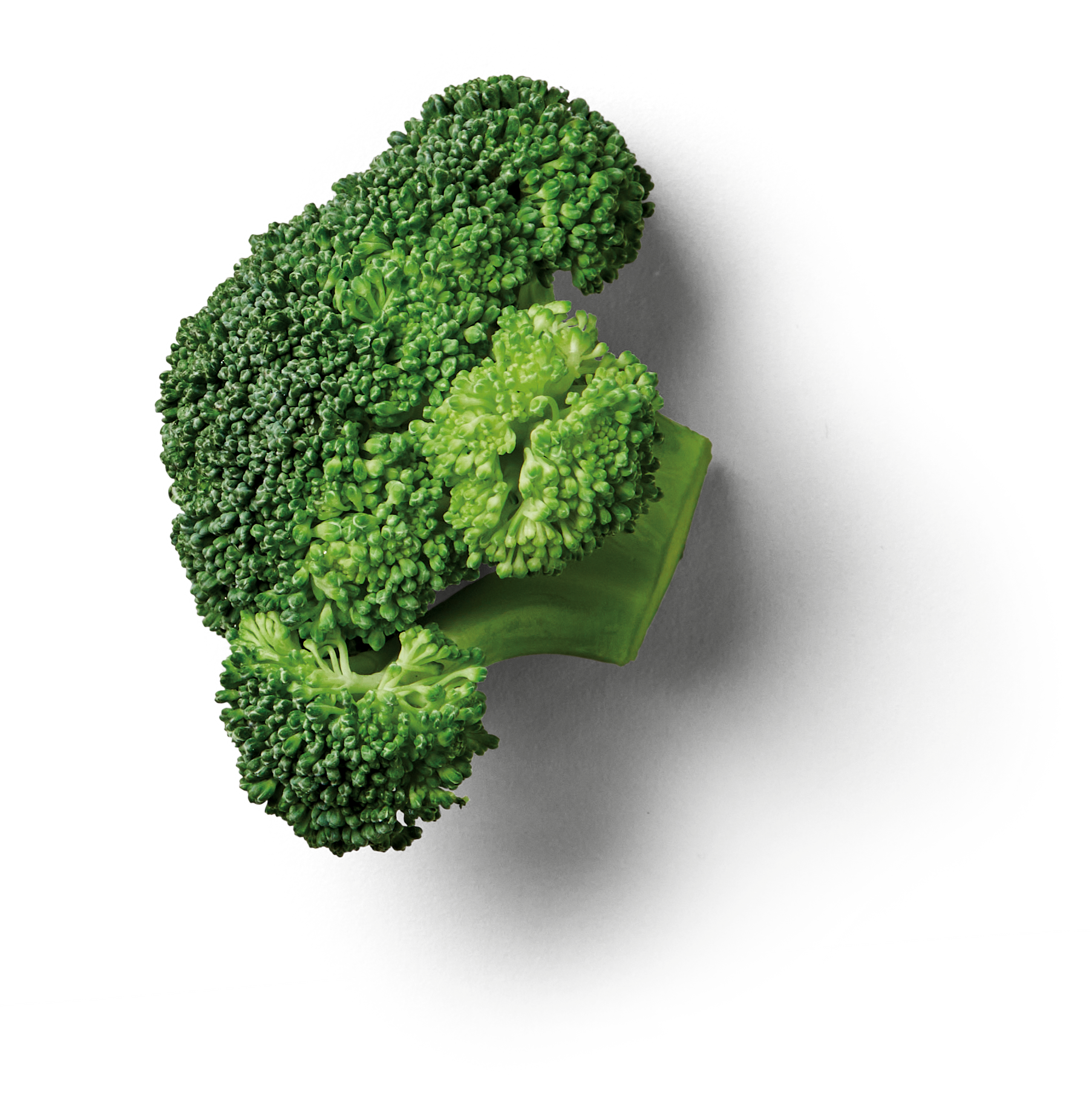 Brócoli