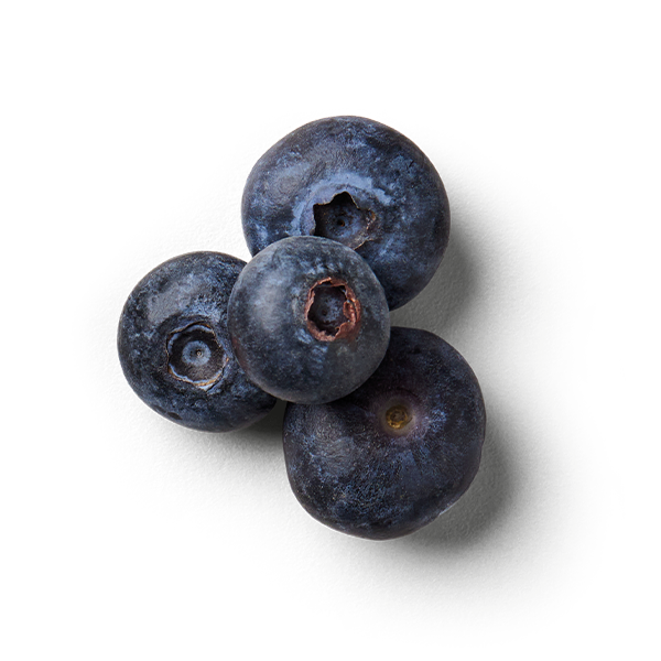 Blaubeere