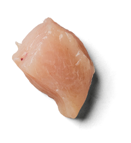 Pollo