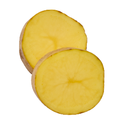 Patata